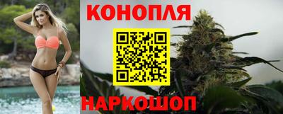гидра Малгобек